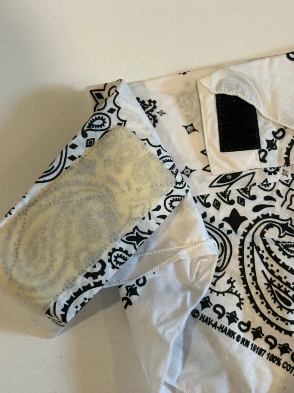 Dust Bandit Paisley Bandana Face Mask